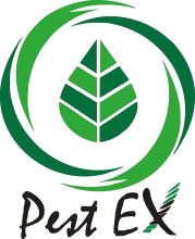 web design sri lanka